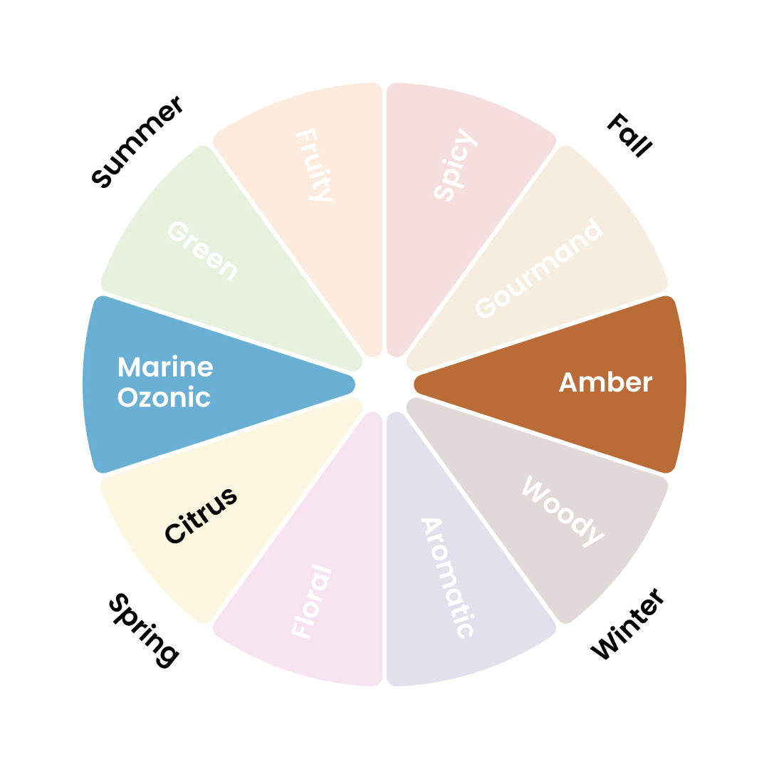 Complementary notes on a fragrance wheel.